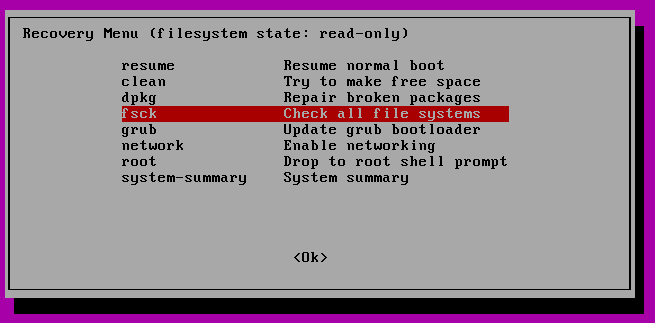 FSCK forțat la boot-are în Linux