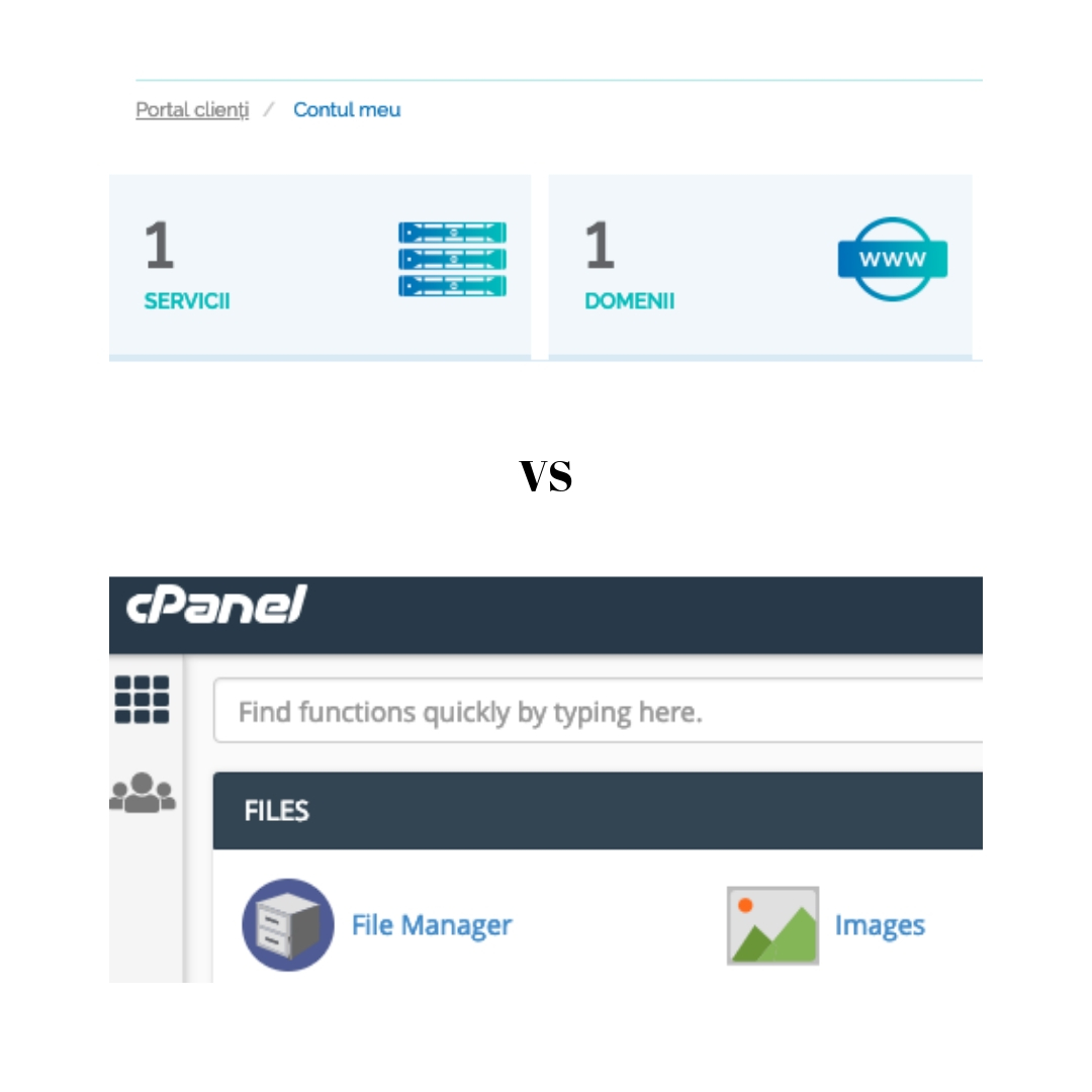 cPanel sau Zona de Client?