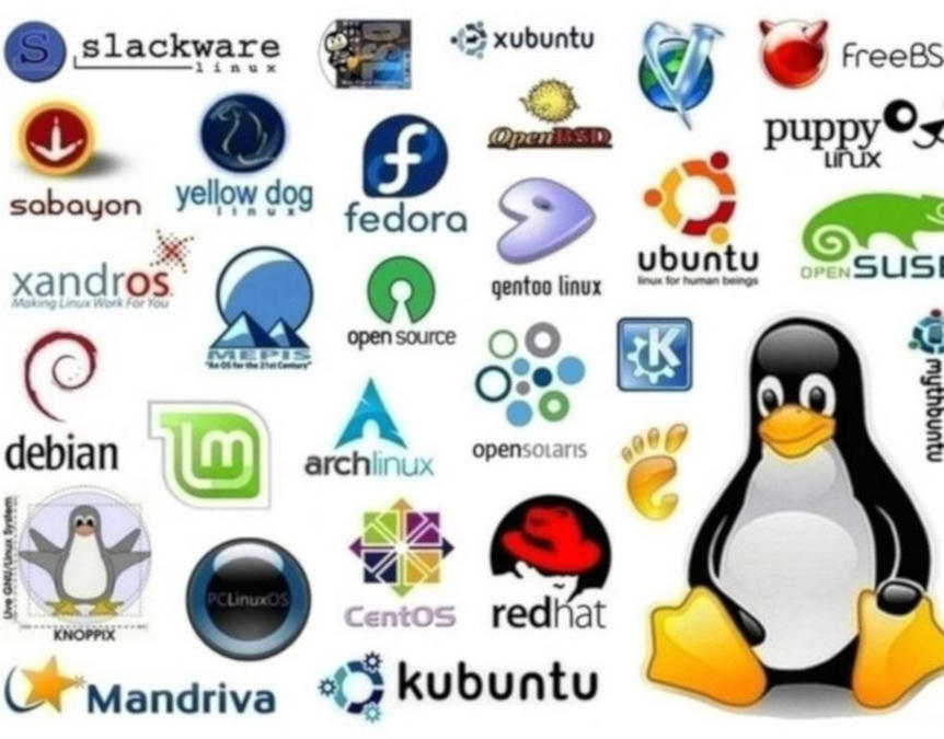 Distribuții Linux care merită încercate în 2019